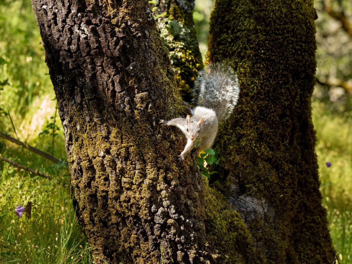 Branch out this spring