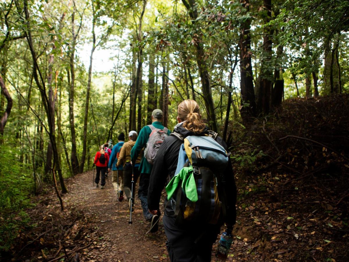 Monte Rio Redwoods trail