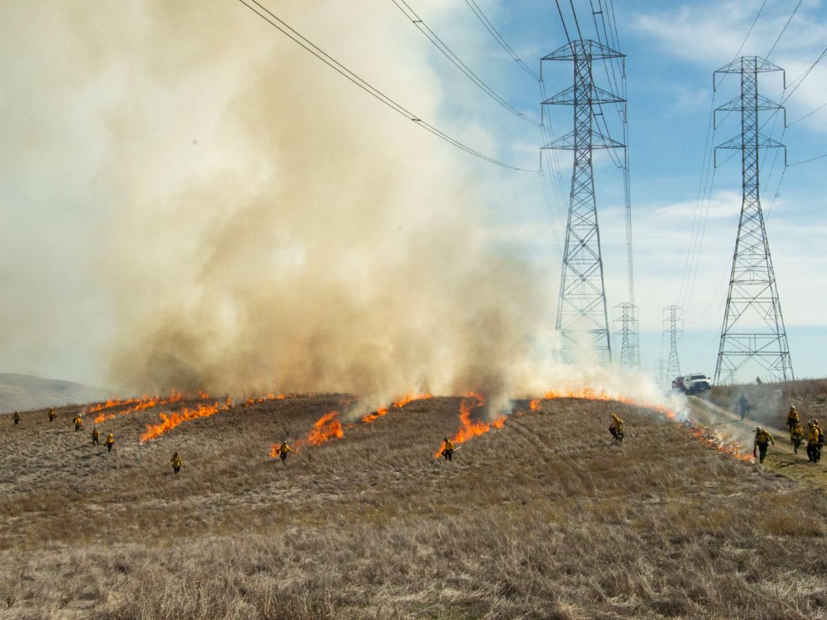 See prescribed fire at work
