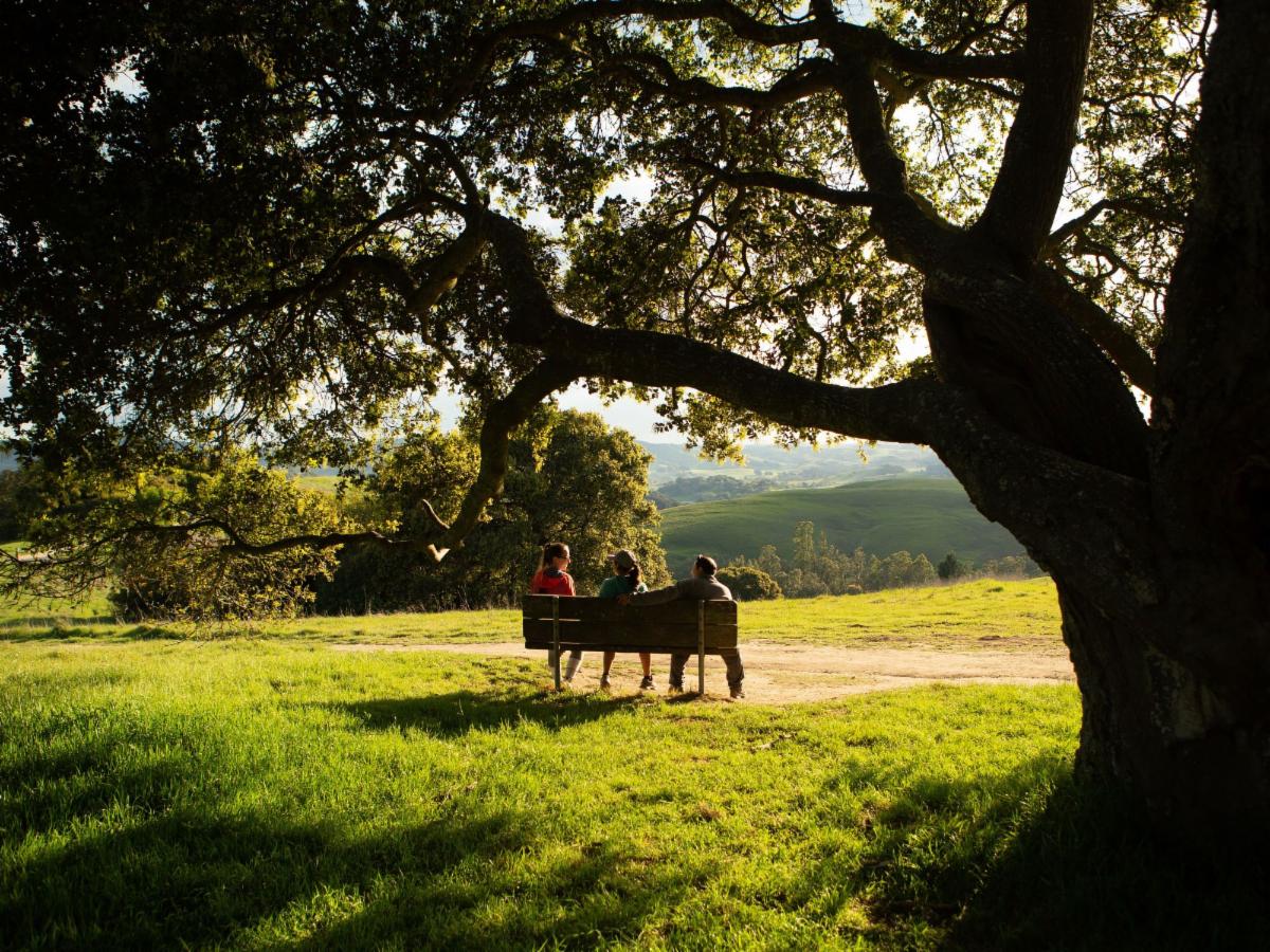 Help us improve parks: Share your feedback!