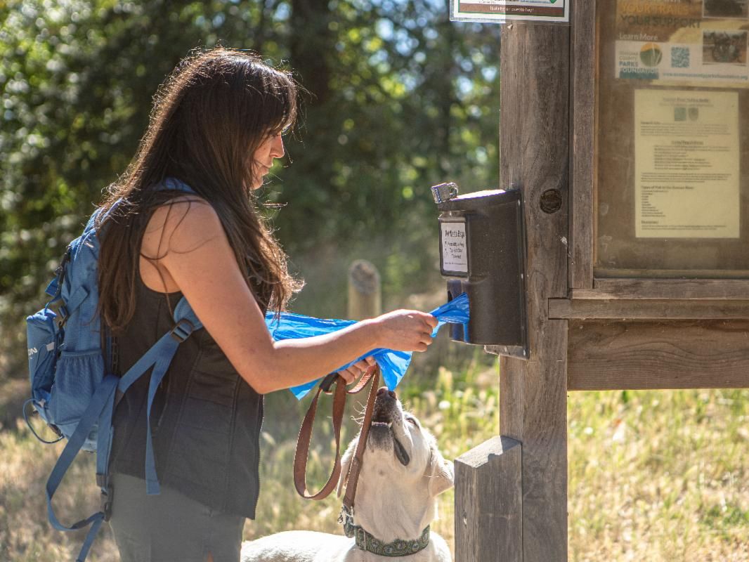 A woman grabs a dog bag from a kiosk