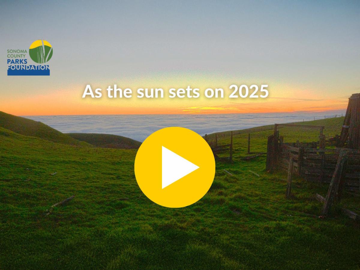 Supporting parks and programs for all