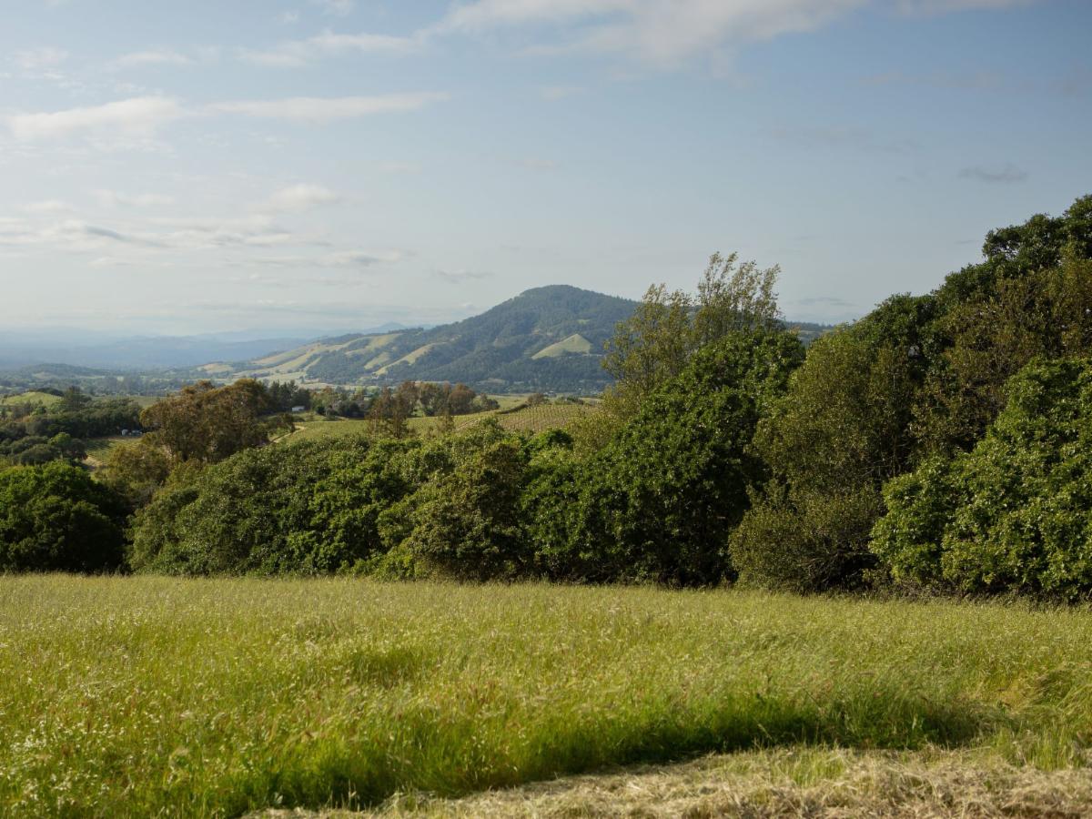 Big sky views from North Sonoma Mountain