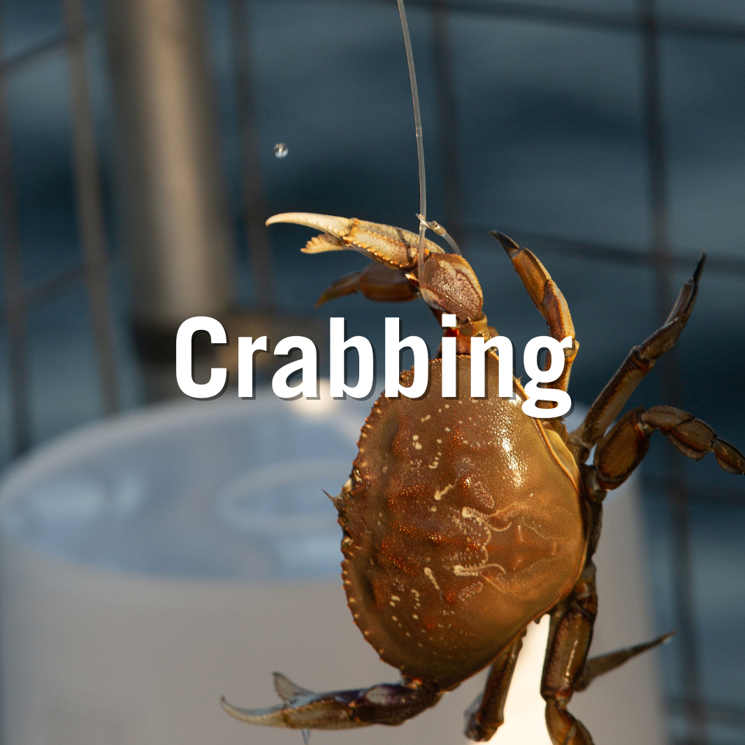 Crabbing