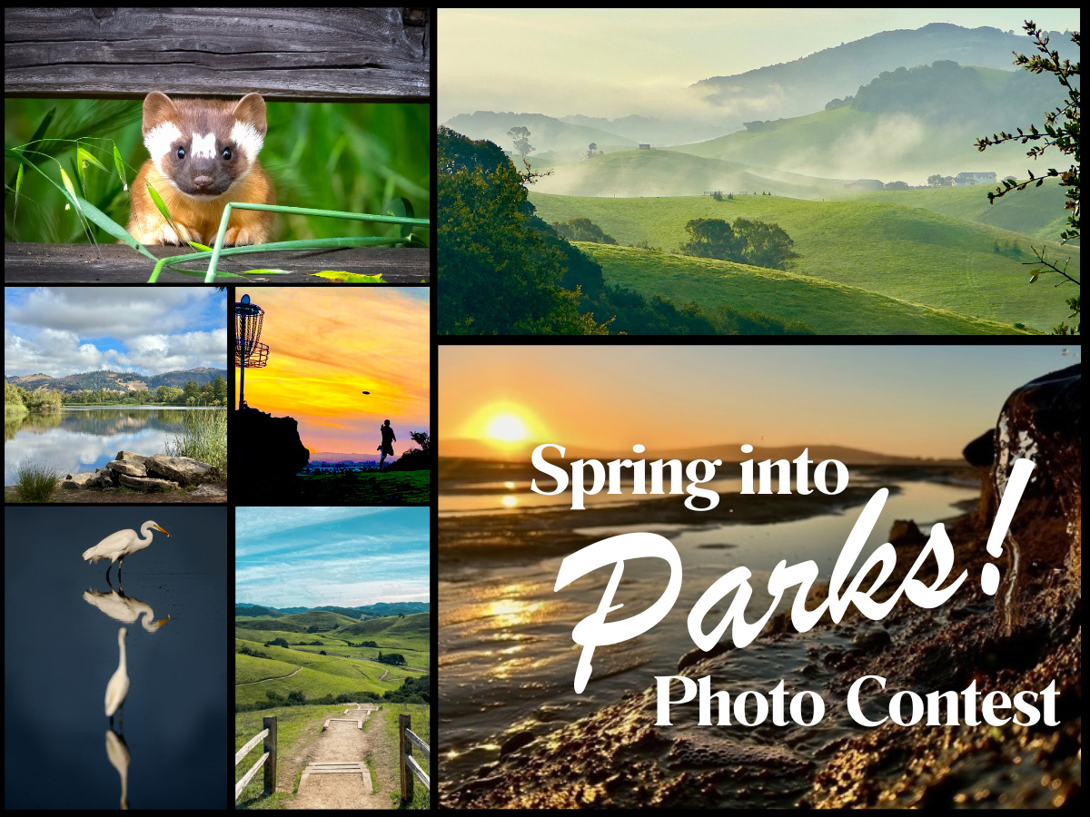 Spring photo contest