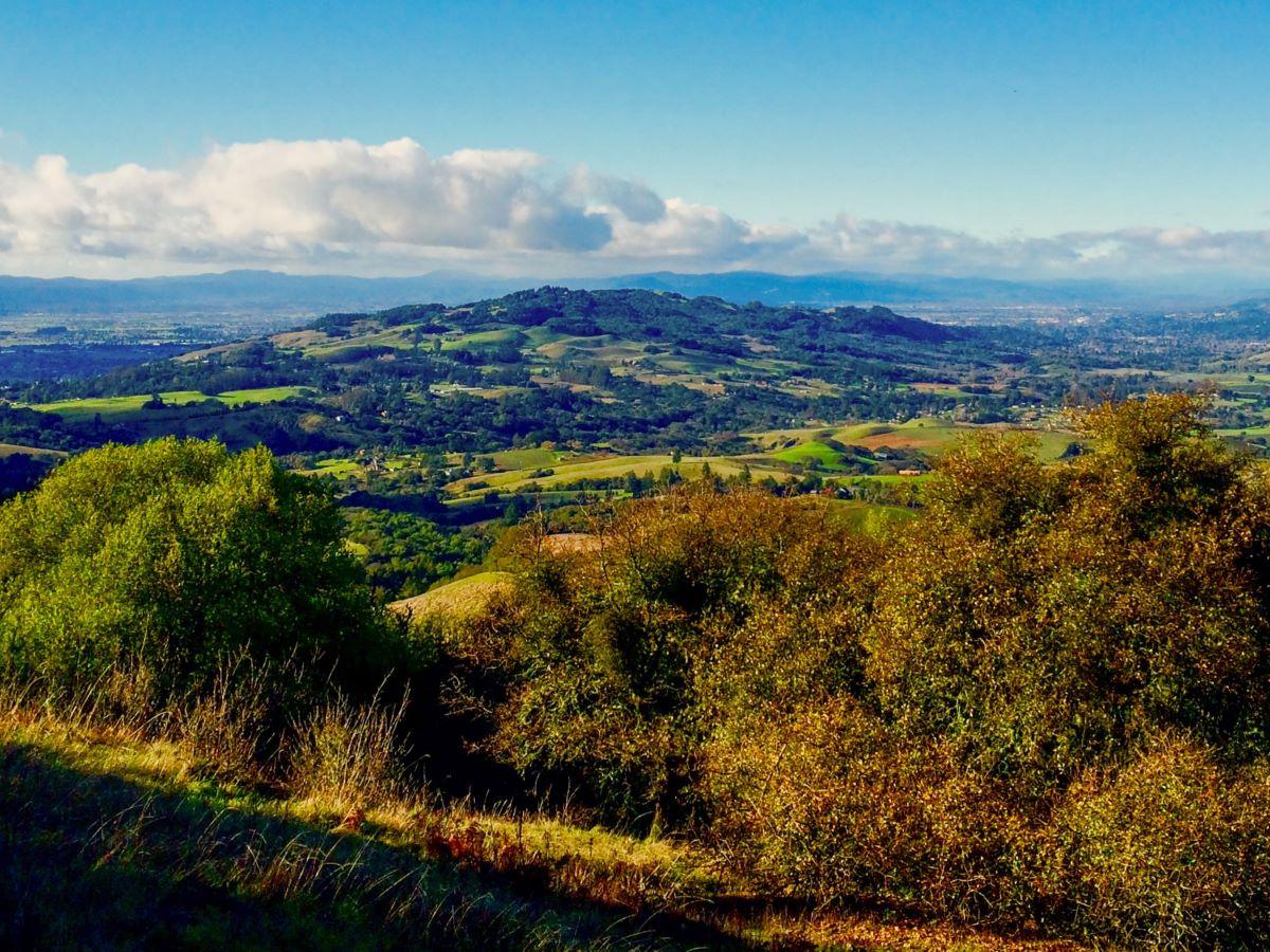 View from North Sonoma Mountain