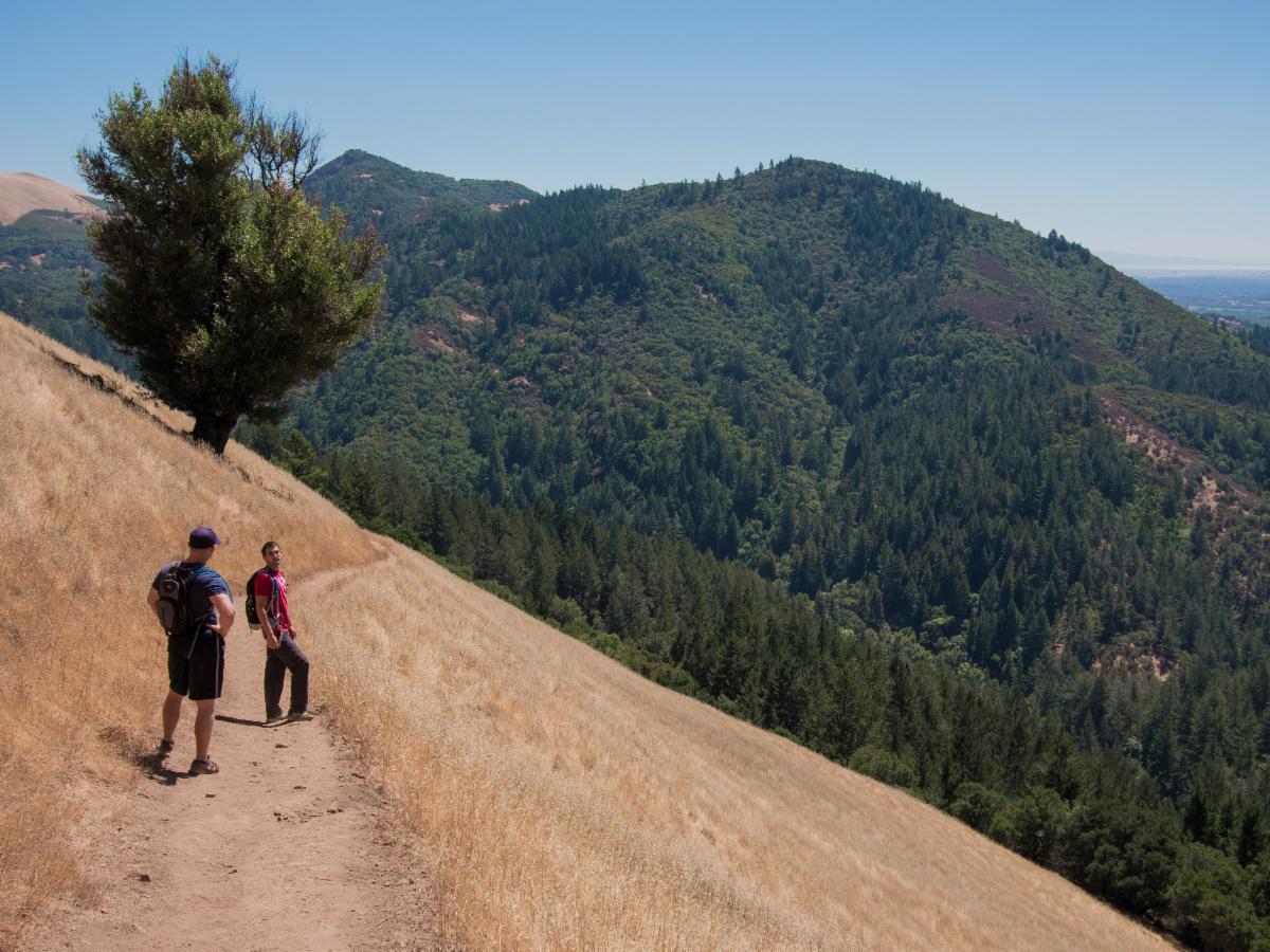 Hikers walk along trail with views of Sonoma Valley