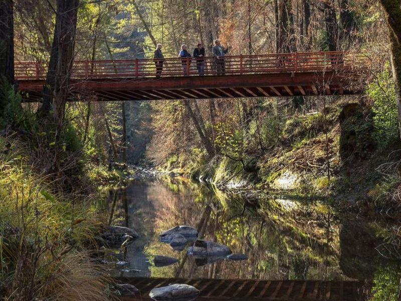 Preview Mark West Creek Regional Park