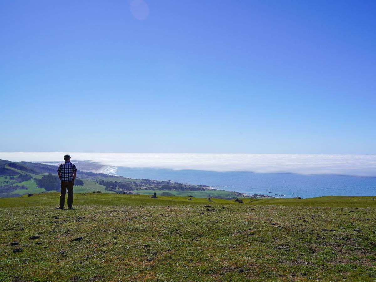 Get a sneak peek at Wright Hill