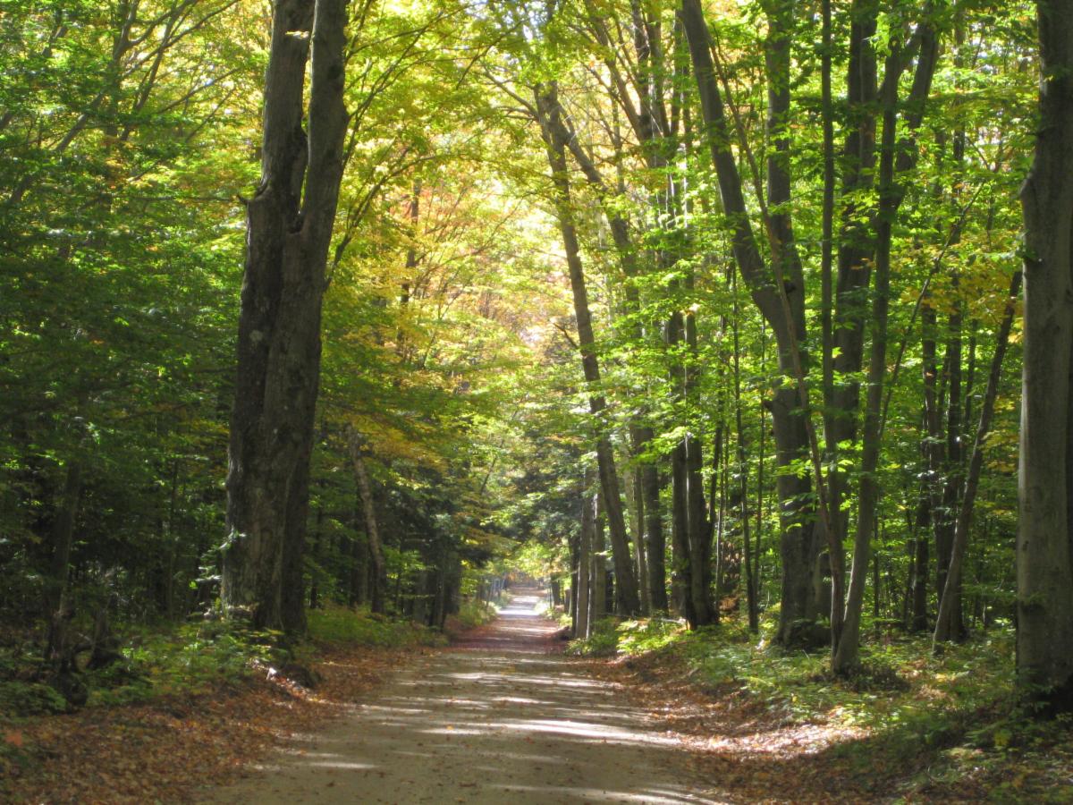 Public and Wildlife Reap Benefits of the HuronManistee National