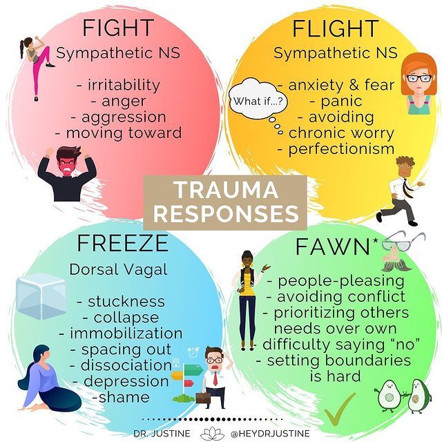 Trauma Responses and how trauma can show up in learners. Fight. Flight. Freeze. Fawn.