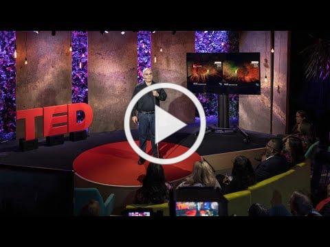 A TED Talk speaker stands on a red circular stage in front of an audience, with the large red TED logo to the left. Behind the speaker, decorative wall panels are lit with purple lighting, and a screen displays visuals related to the talk. A play button overlay suggests this is a video thumbnail.erez