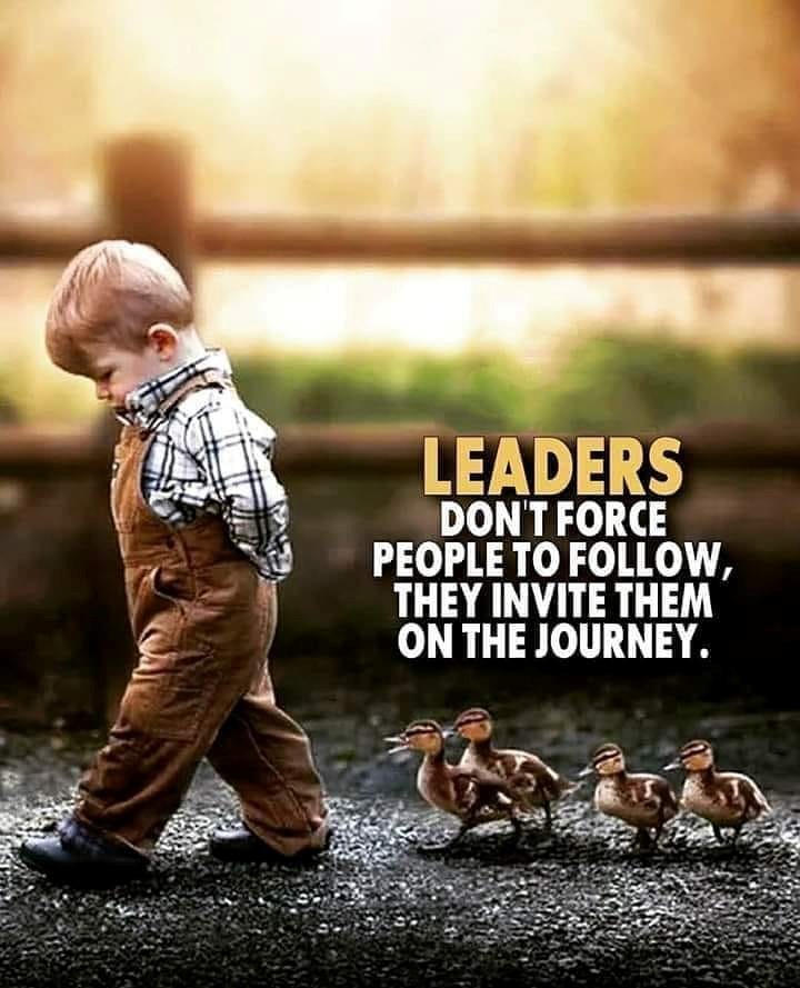 A child walking with ducks