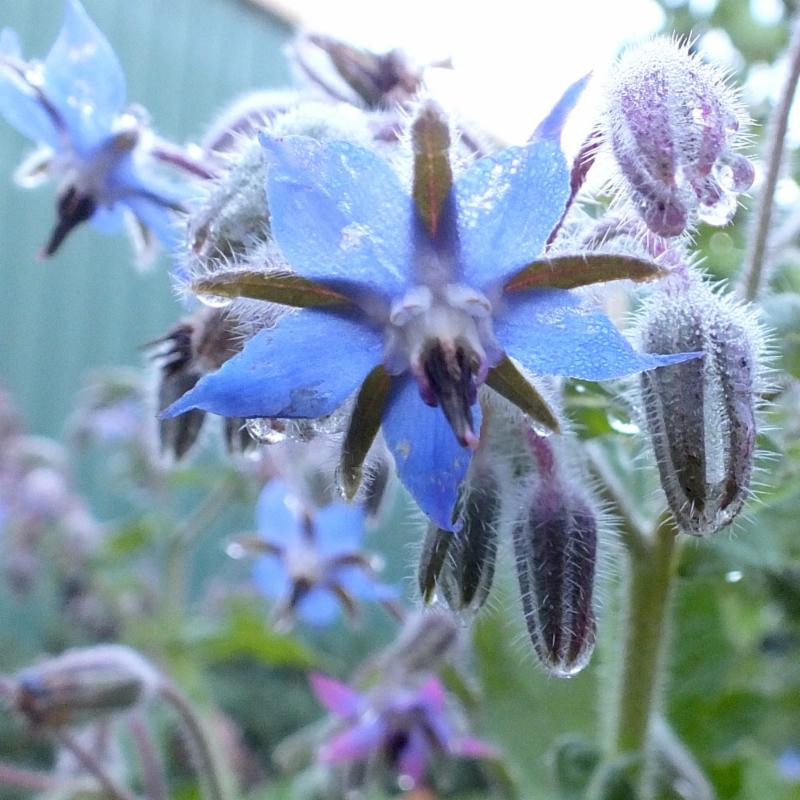 It's Almost Time to Sow Some Seeds!