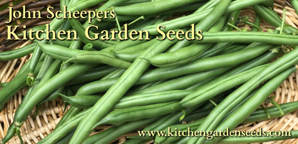 The 10 Easiest Vegetables From Seeds