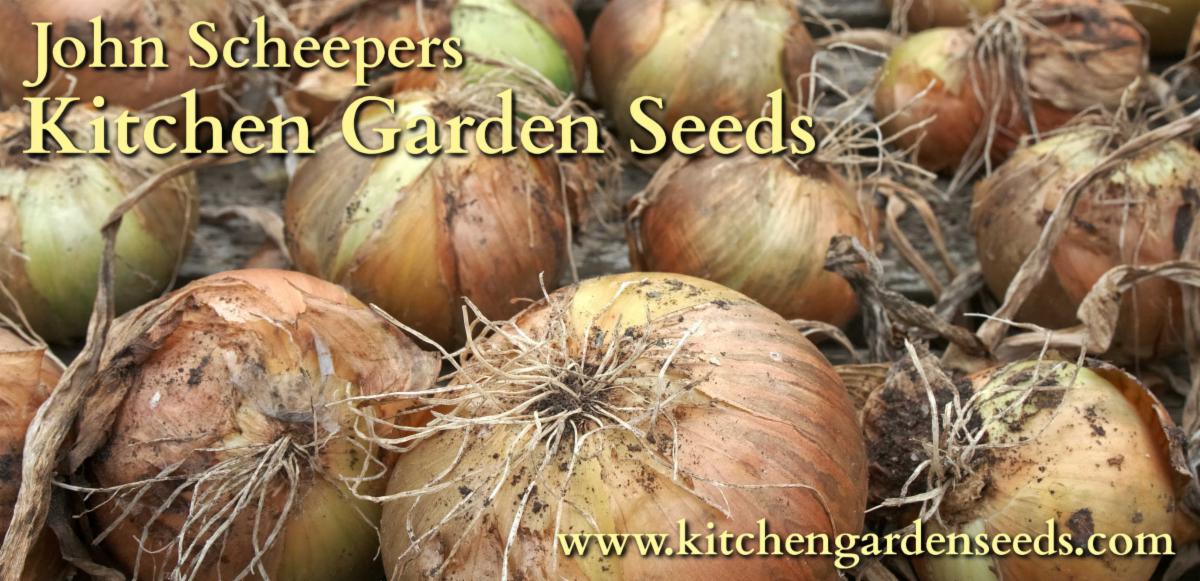 It's Time to Plant Onions, Shallots & Leeks