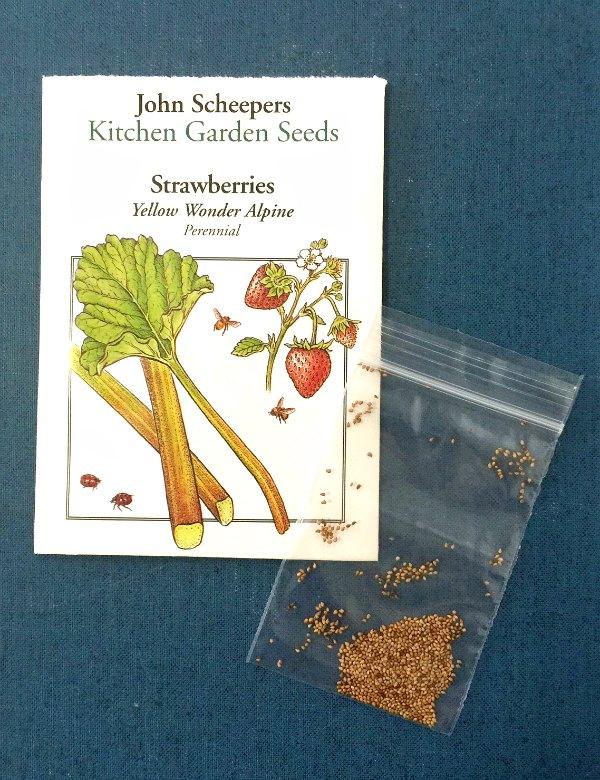 Scheepers Kitchen Garden Seeds Dandk Organizer