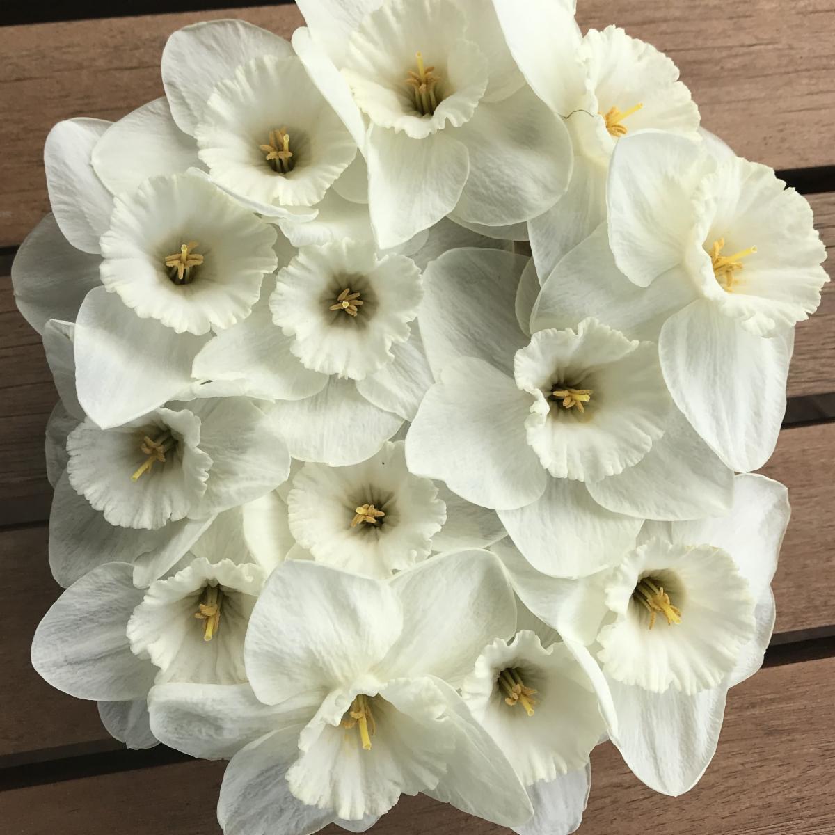Reminder: Serene White and Green Gardens