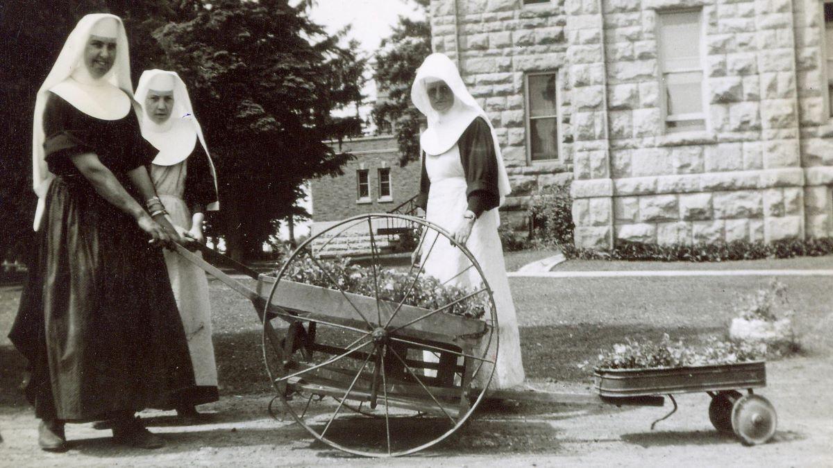 sisters with plants in cart