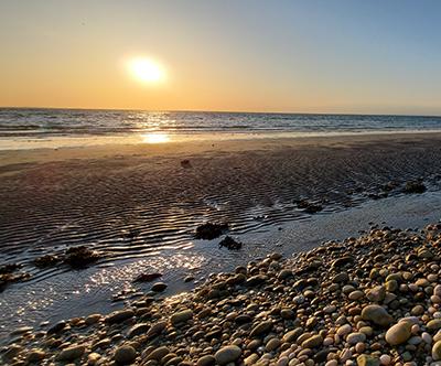 West Meadow Beach, Fall 2020.  Photo Credit: Becky Shuford