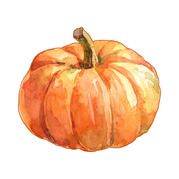 Cocoa Kissed Pumpkin Facial at Tranquil Radiance Spa