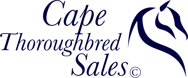 CApe Thoroughbred Sales logo