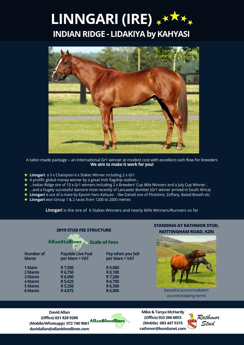 Linngari Stud Card