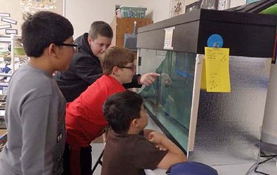 TIC Four Boys Looking into Tank 