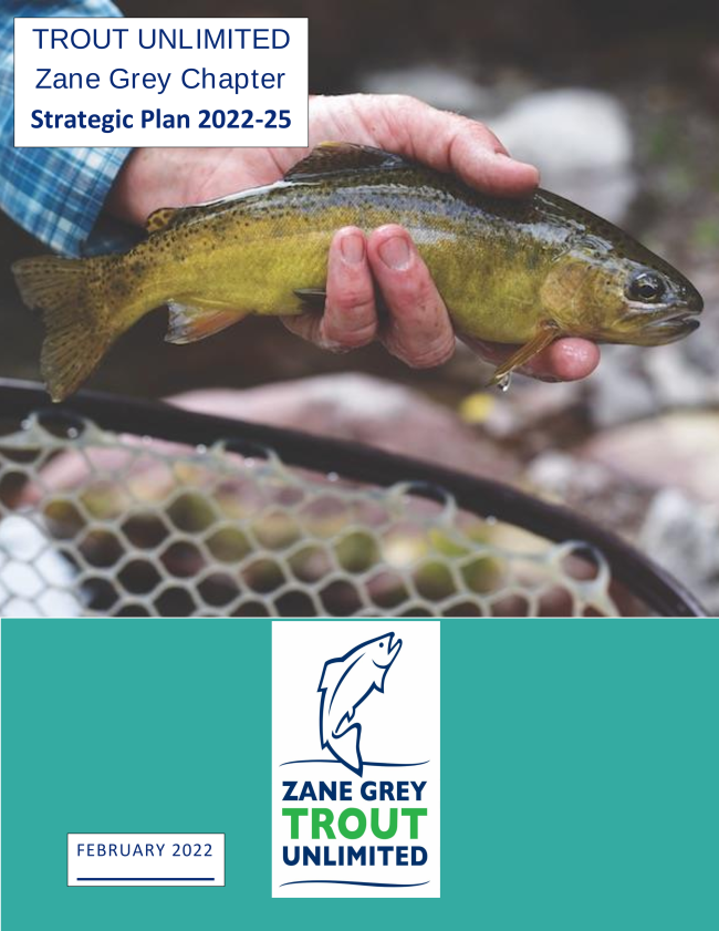 ZGTU Strategic Plan