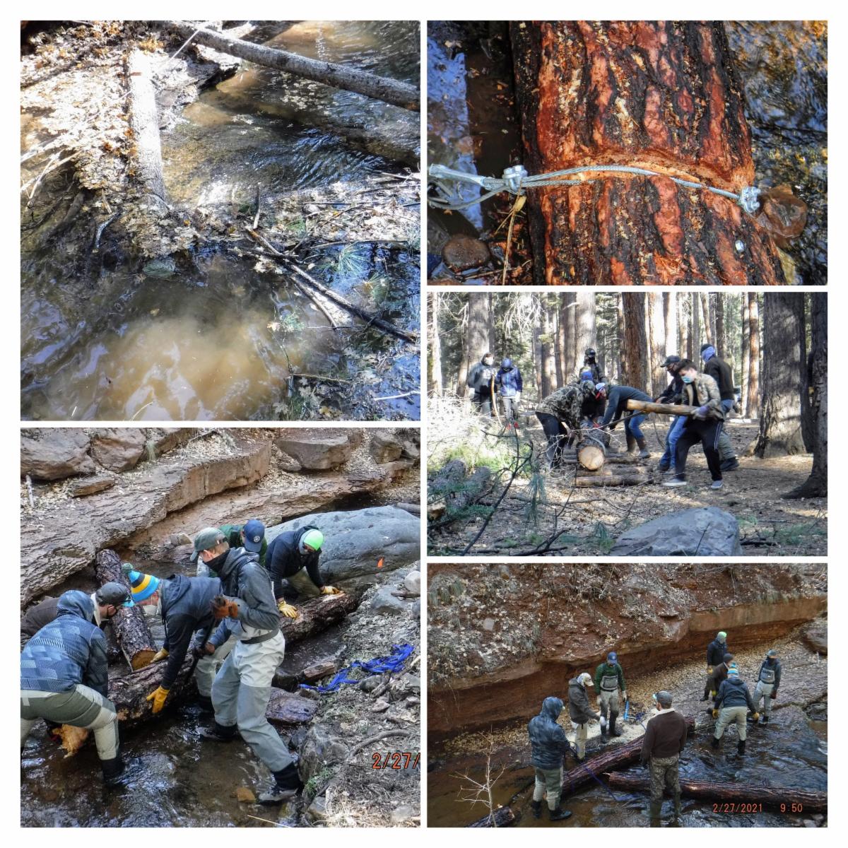 UEVR Conservation Project