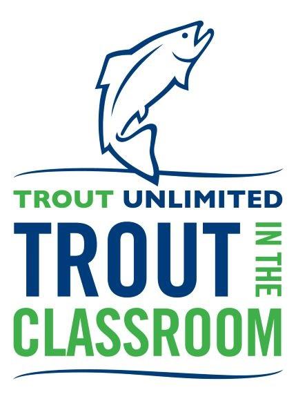 TIC Logo (AZ in 2021)