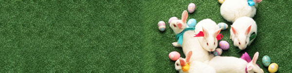 easter-bunnies-grass.jpg