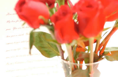 blurred-red-roses.jpg