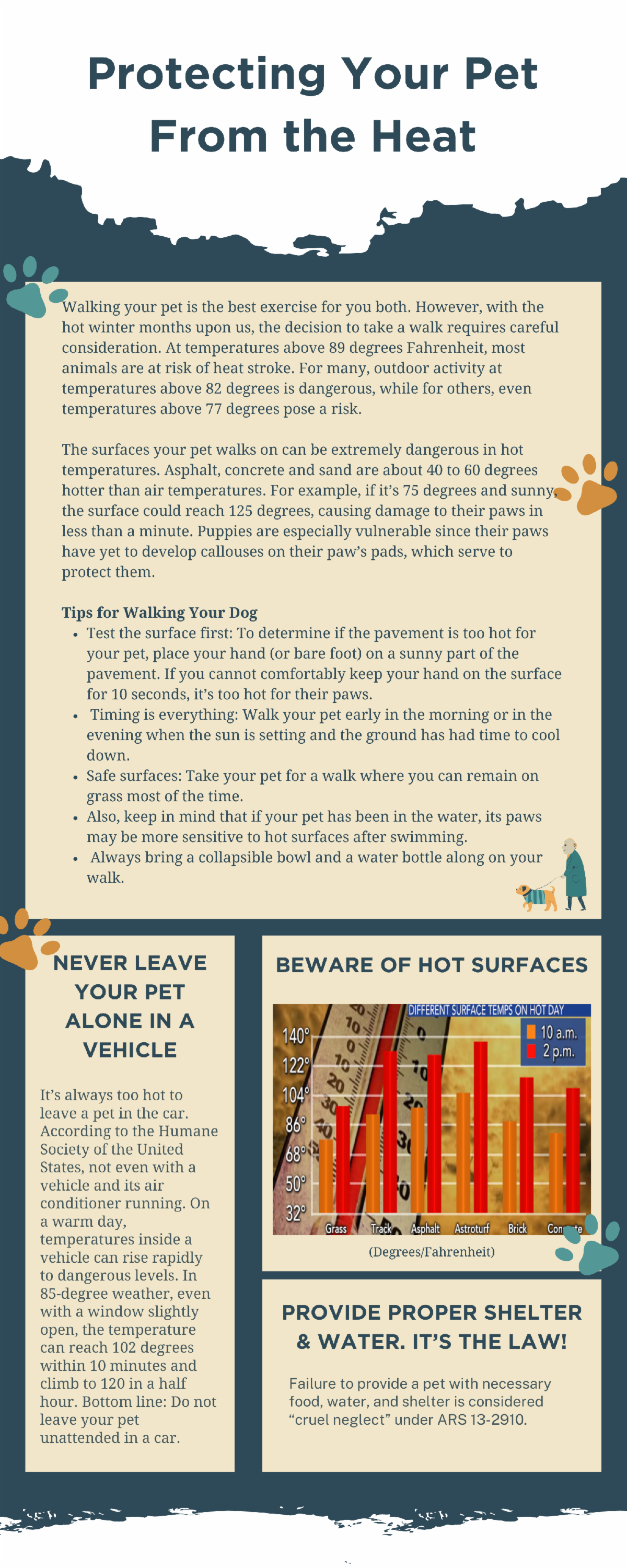 Pinal County Animal Care and Control Pupdate June 2024