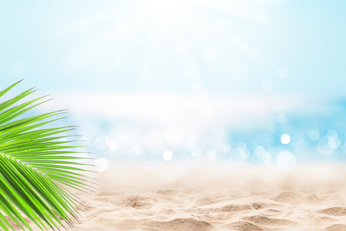 Coconut palm leaf against blue sky and beautiful beach in Punta Cana_ Dominican Republic. Vacation holidays background wallpaper. Landscape of tropical summer beach. 