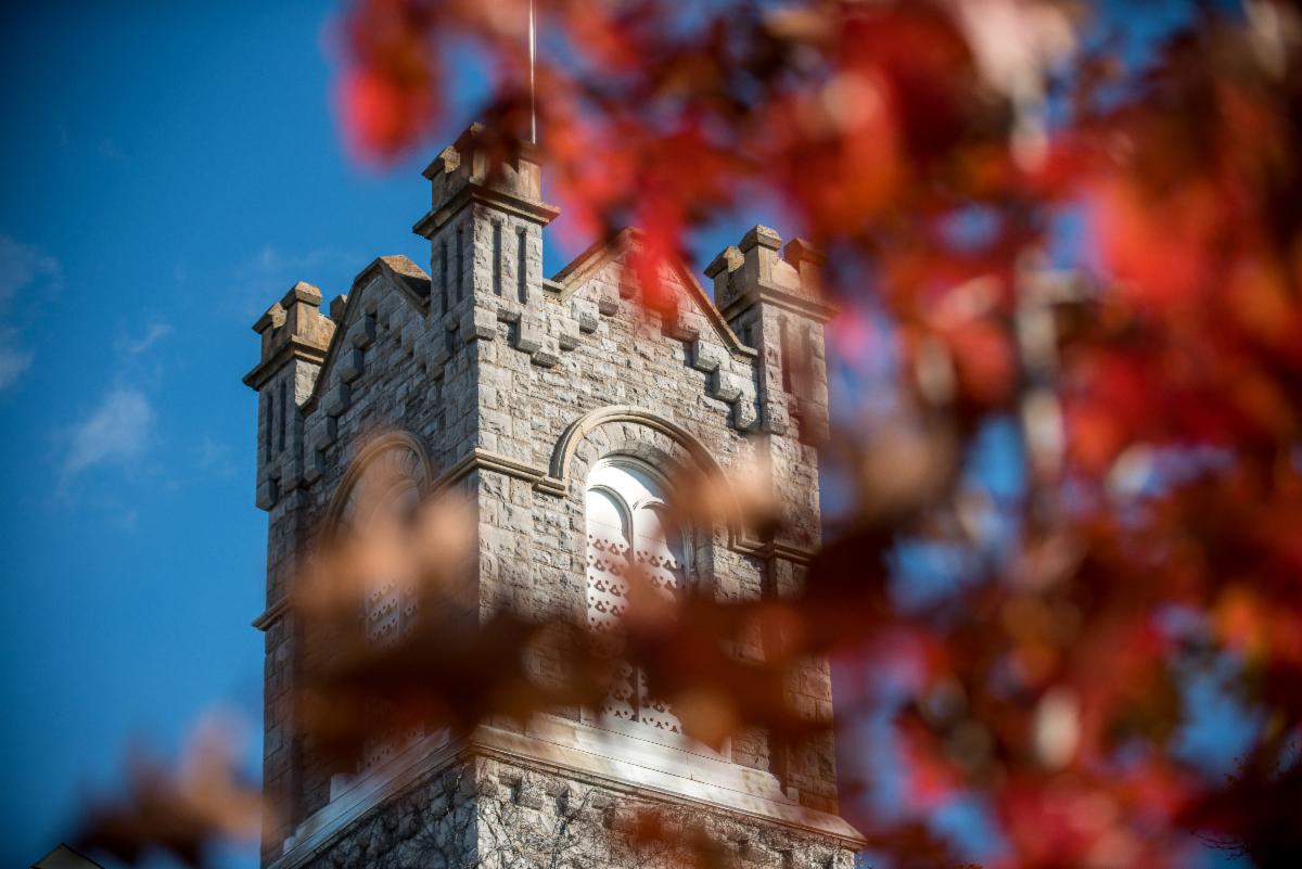 fall leaves on campus