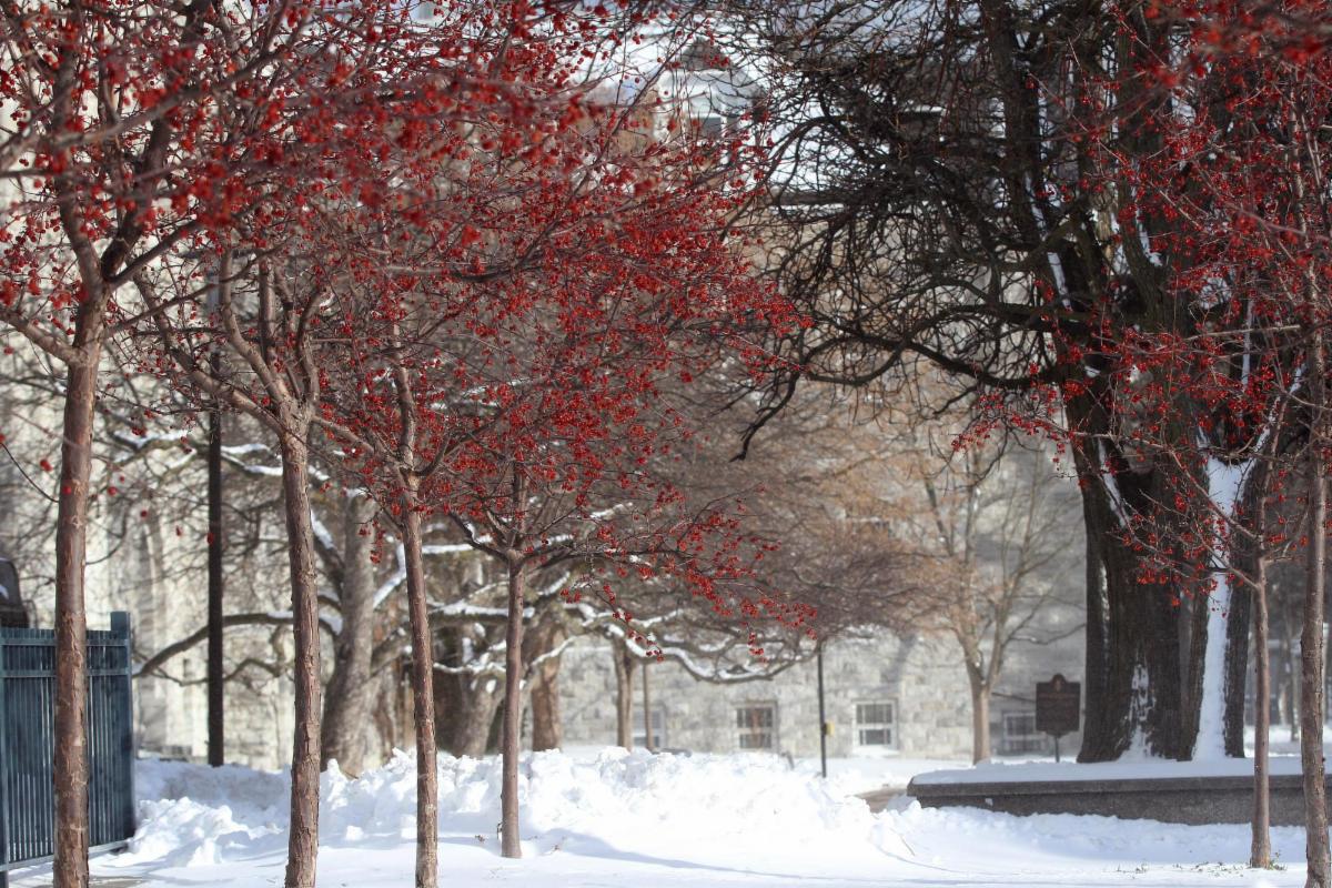 Winter at Queens Campus