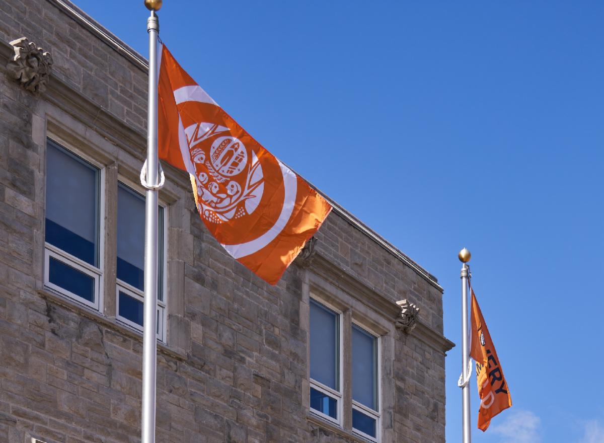 NDTR Flag raising