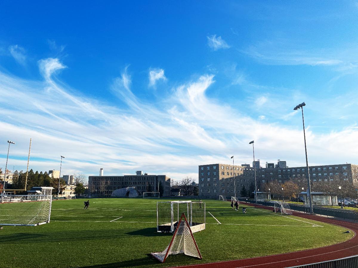 Tindle field