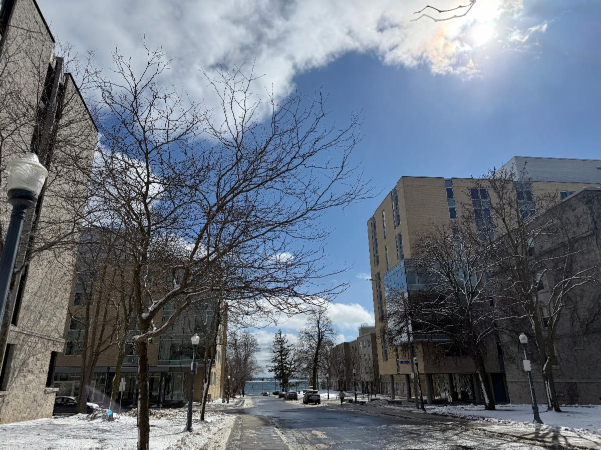 Albert Street residences with snow-covered ground and trees on a sunny day