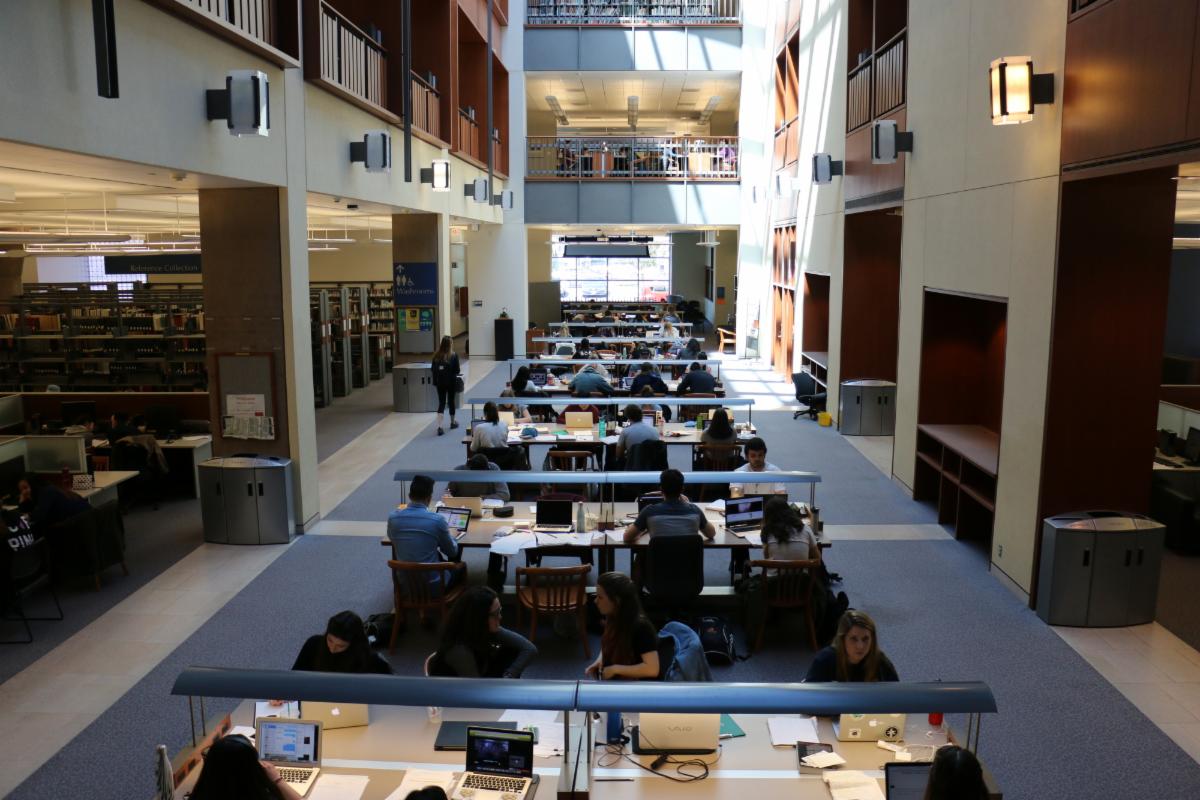 Students studying in Stauffer Library