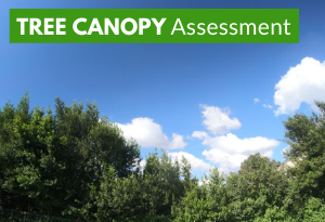 Tree Canopy Assessment