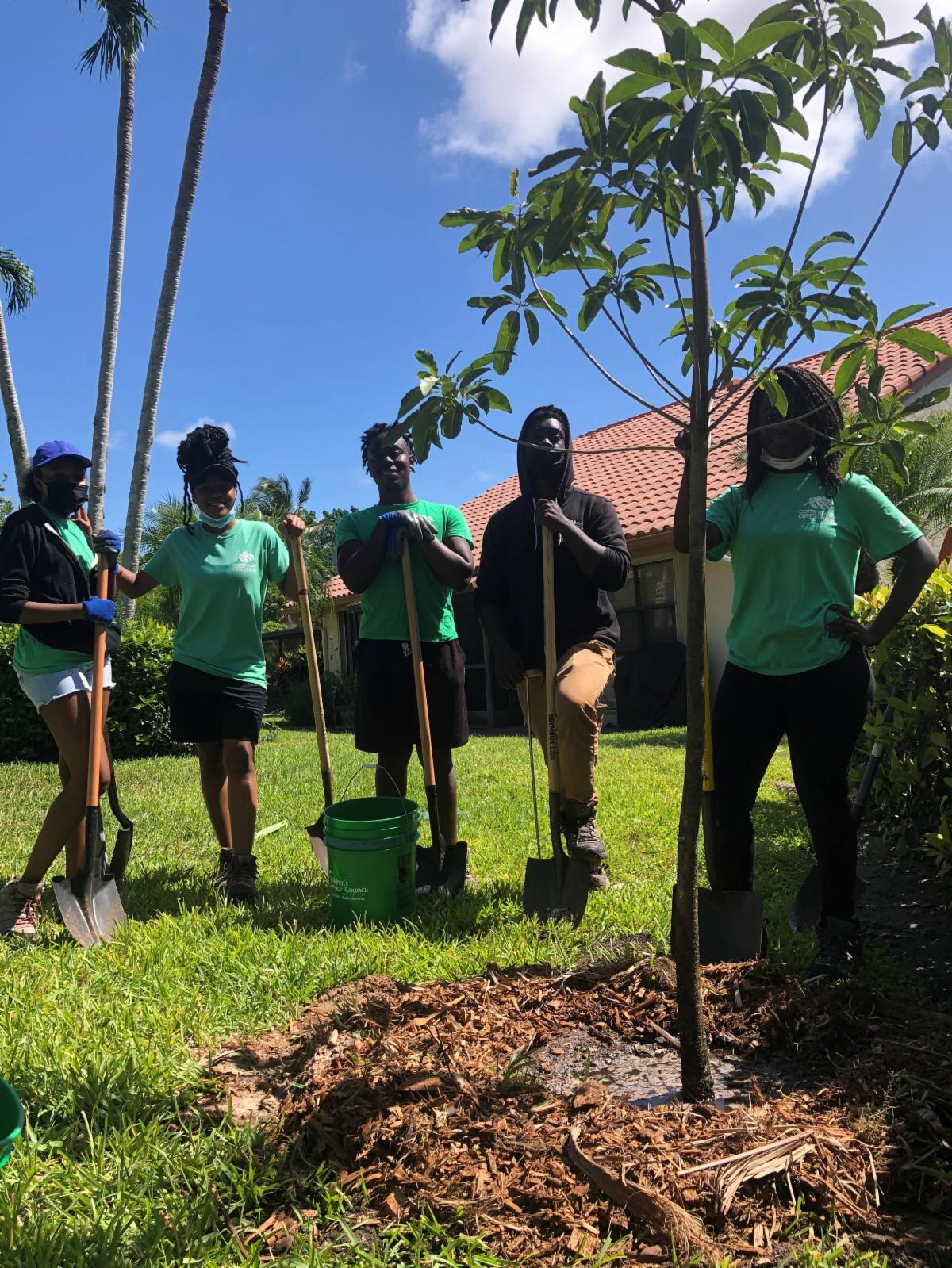 Crew planting trees for Project Shade Tree