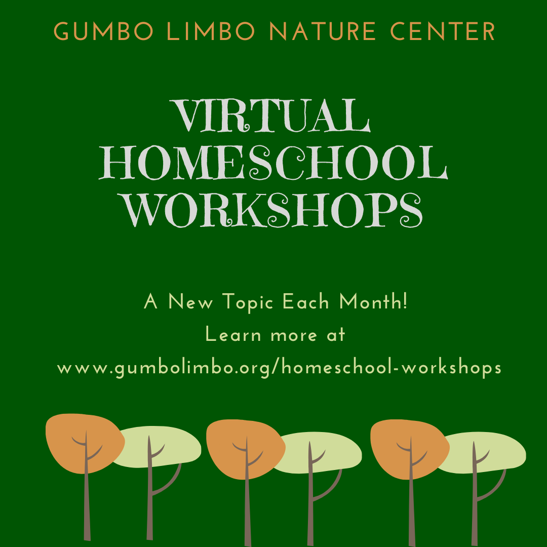 Gumbo Limbo Nature Center Virtual Homeschool Workshops