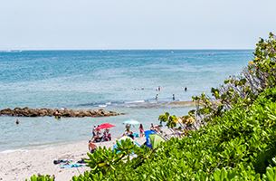 Snorkel Reef at Red Reef Park