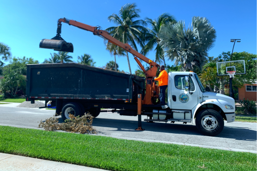 City of Boca Raton vegetation pick up.