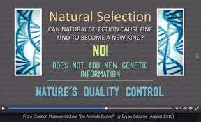 Natural-Slection-No-New-Genetic-Information-No-New-Kinds-Creation-Truth