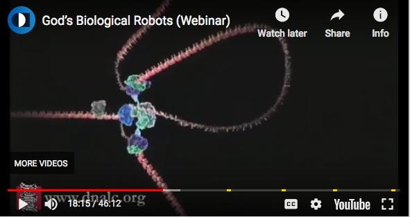 Gods-Biological-Robots-Creation-Sarfati-Webinar