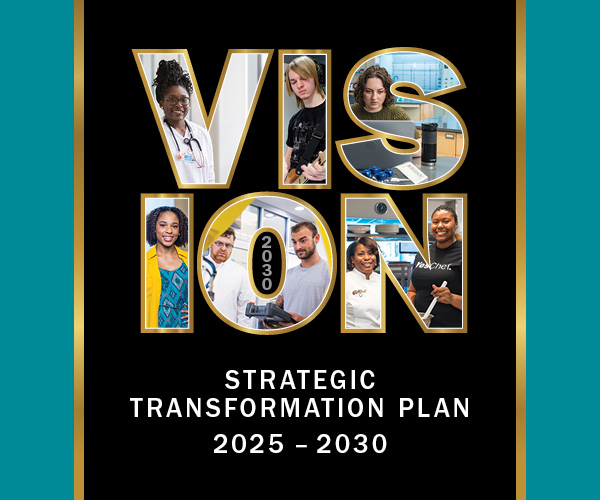Vision 2030 logo