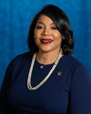 County Councilwoman Meredith Turner